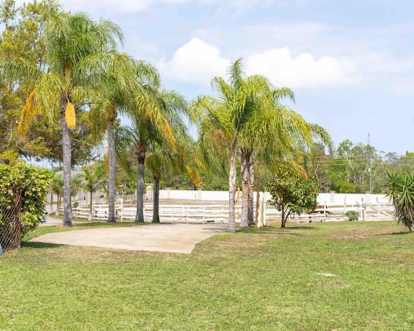 Tampa Bay Oasis Apartment Тарпон Спрингс Екстериор снимка