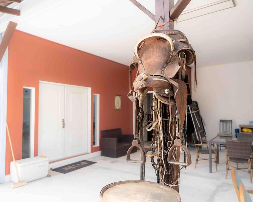 Tampa Bay Oasis Apartment Тарпон Спрингс Екстериор снимка