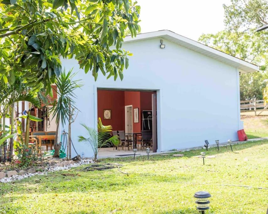 Tampa Bay Oasis Apartment Тарпон Спрингс Екстериор снимка