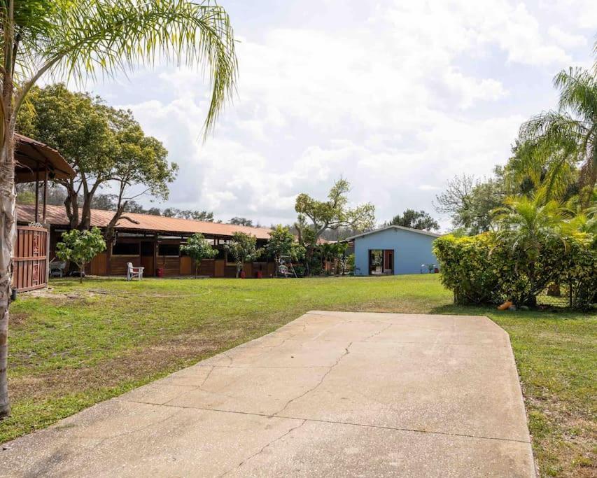 Tampa Bay Oasis Apartment Тарпон Спрингс Екстериор снимка